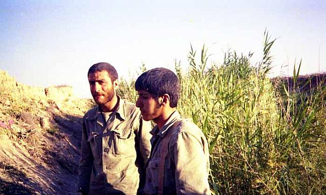 Shafighefakeh.ir (53)