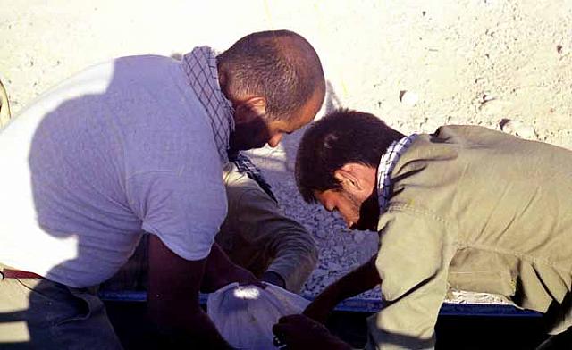 Shafighefakeh.ir (7)