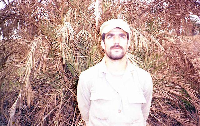 Shafighefakeh.ir- (191)