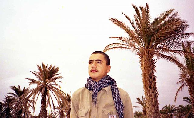 Shafighefakeh.ir- (223)