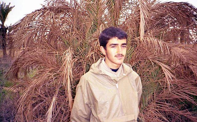 Shafighefakeh.ir- (290)