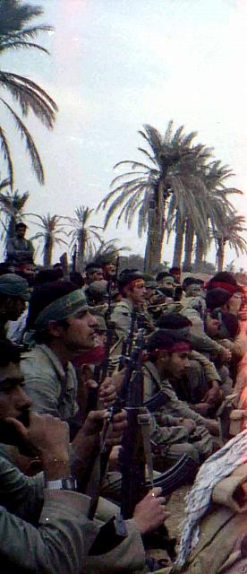 Shafighefakeh.ir- (294)