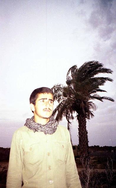 Shafighefakeh.ir- (313)