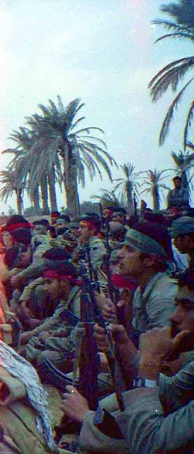 Shafighefakeh.ir- (323)
