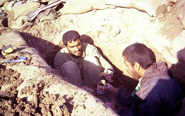 Shafighefakeh.ir- (393)