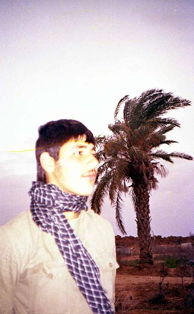 Shafighefakeh.ir- (97)