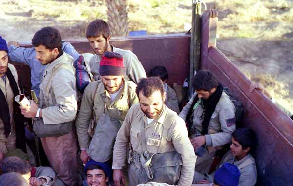 Shafighefakeh.ir (121)