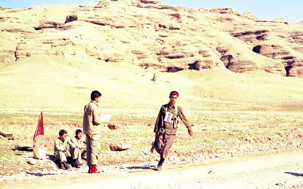 Shafighefakeh.ir (15)