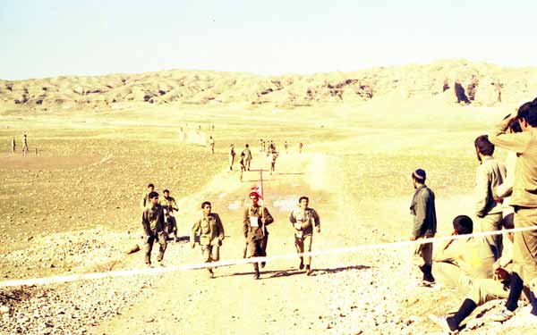 Shafighefakeh.ir (16)