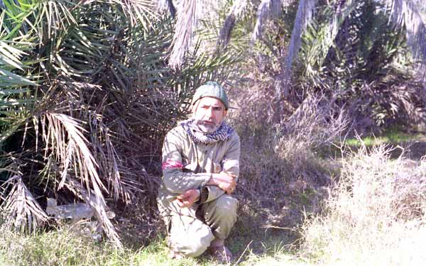 Shafighefakeh.ir (173)