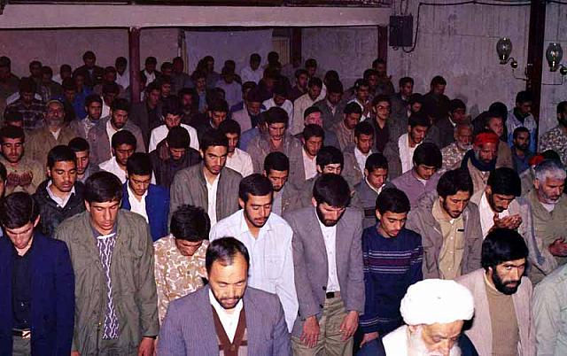 Shafighefakeh.ir (177)