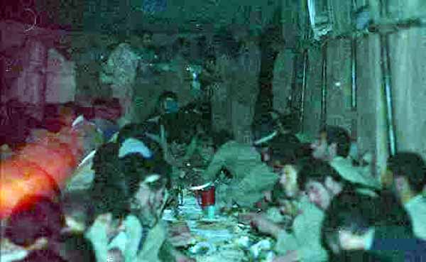 Shafighefakeh.ir (2)