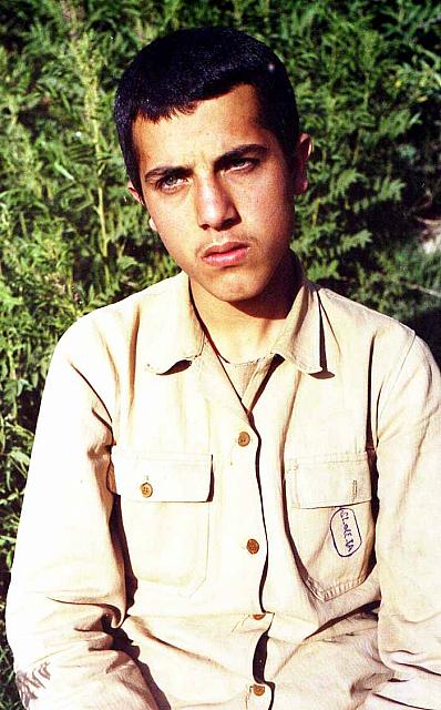Shafighefakeh.ir (203)