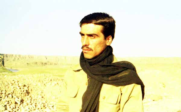 Shafighefakeh.ir (225)