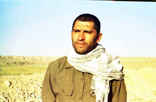 Shafighefakeh.ir (233)