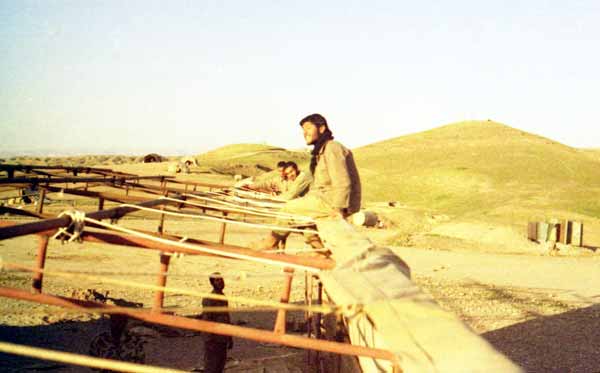 Shafighefakeh.ir (252)