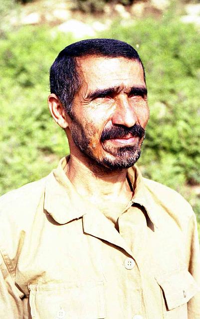 Shafighefakeh.ir (255)