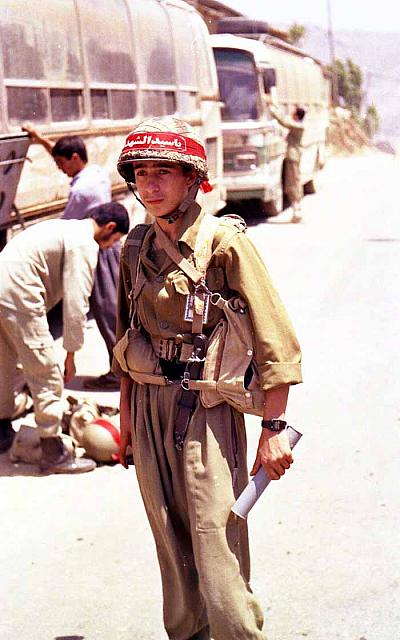Shafighefakeh.ir (291)