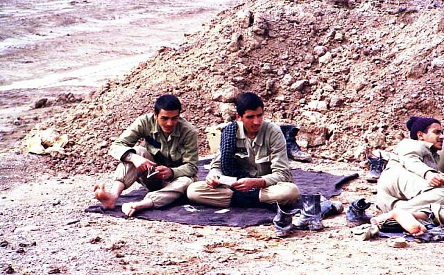 Shafighefakeh.ir (300)