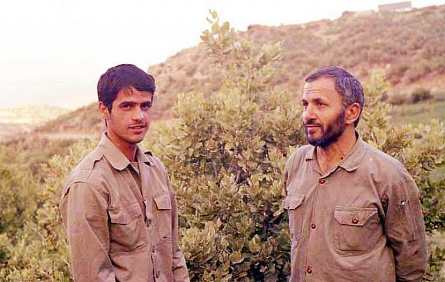 Shafighefakeh.ir (305)