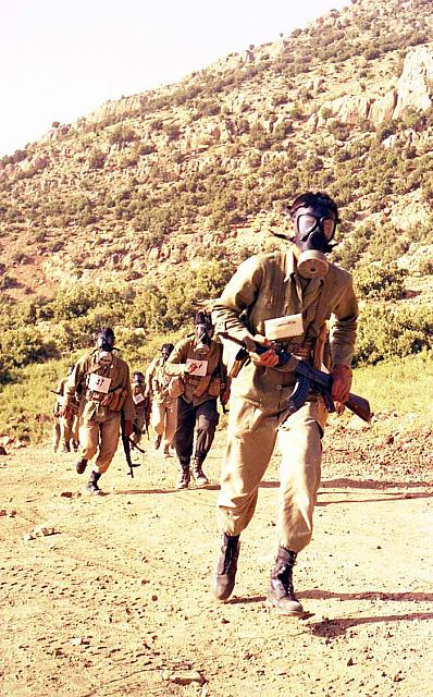 Shafighefakeh.ir (332)