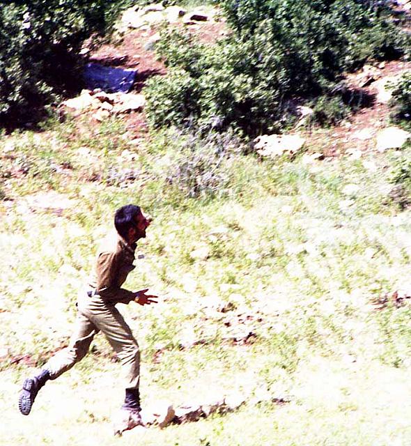 Shafighefakeh.ir (341)