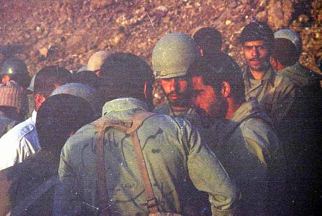 Shafighefakeh.ir (354)