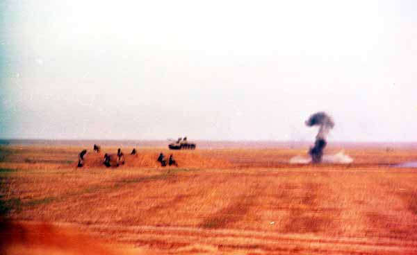 Shafighefakeh.ir (389)