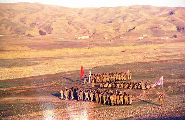 Shafighefakeh.ir (46)