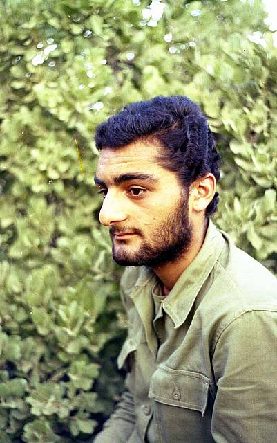 Shafighefakeh.ir (52)