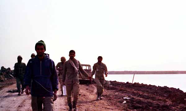 Shafighefakeh.ir (61)