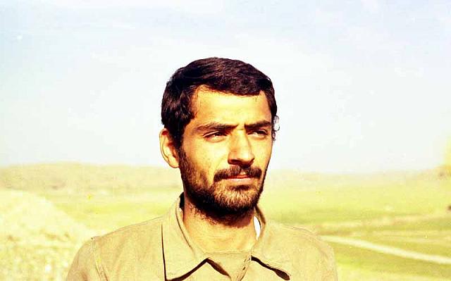 Shafighefakeh.ir (94)