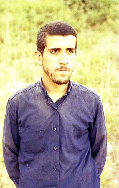 gordanemalek (11)