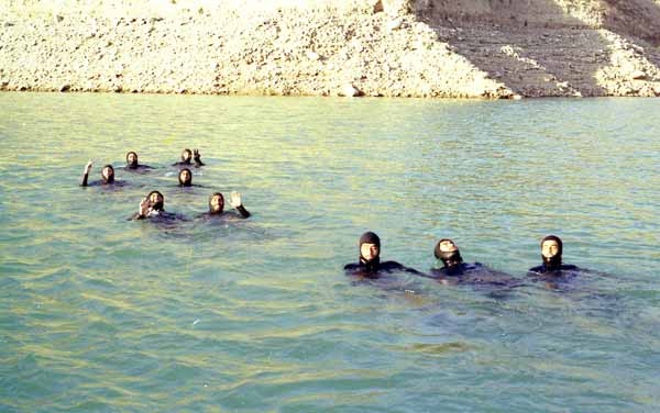 gordanemalek (314)