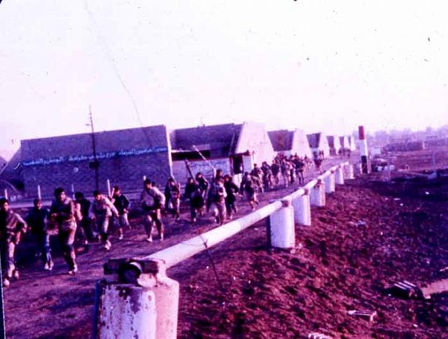 shafighefakeh- archive (169)