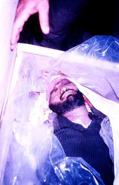 shafighefakeh- archive (328)
