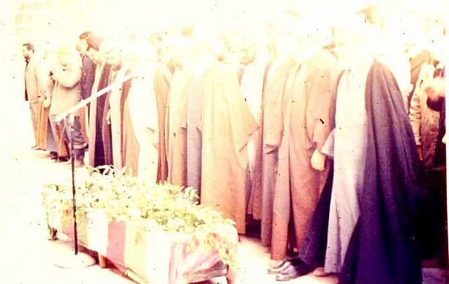 shafighefakeh- archive (54)