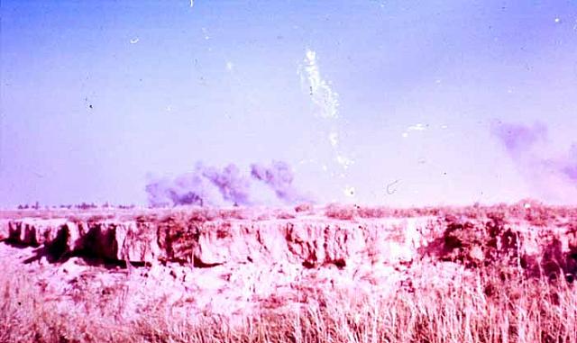 shafighefakeh- archive (86)