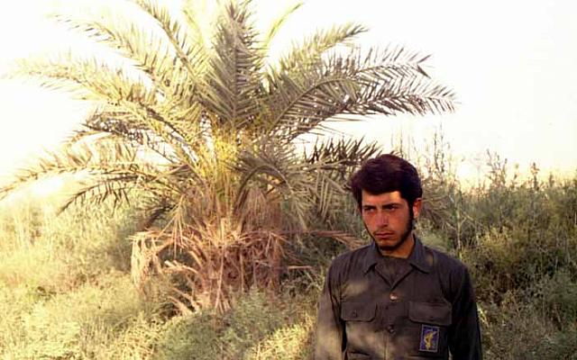 shafighefakeh.ir Website (446)