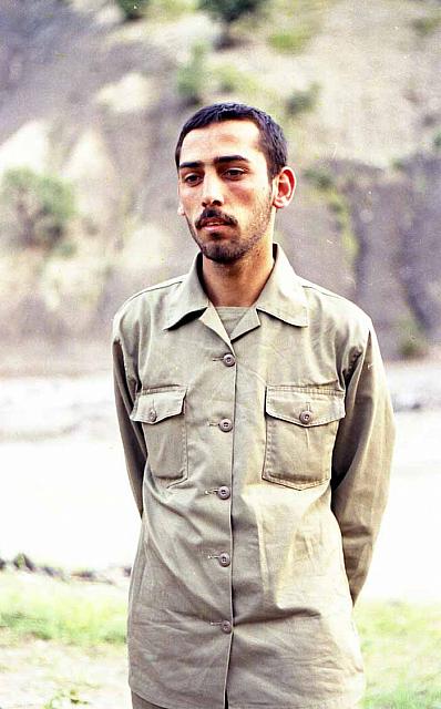shafighefakeh.ir Website (46)