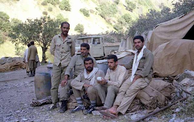 shafighefakeh.ir Website (530)