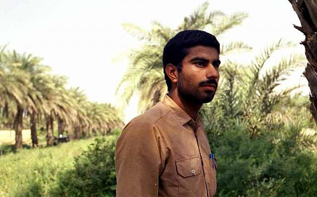 shafighefakeh.ir Gallery (47)