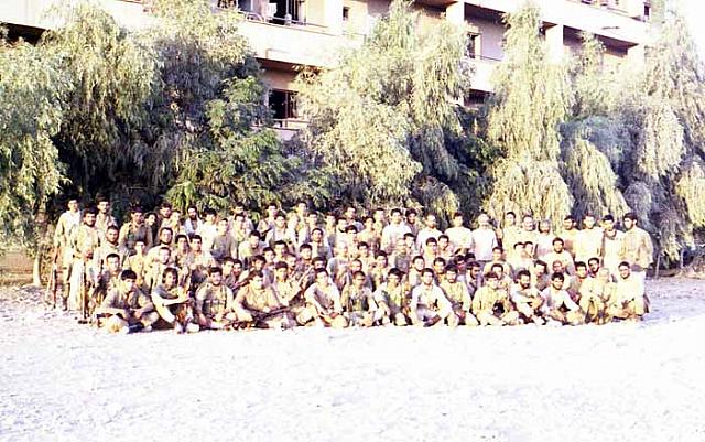 shafighefakeh.ir Gallery (88)