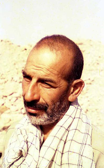 shafighefakeh.ir Parvaz (426)