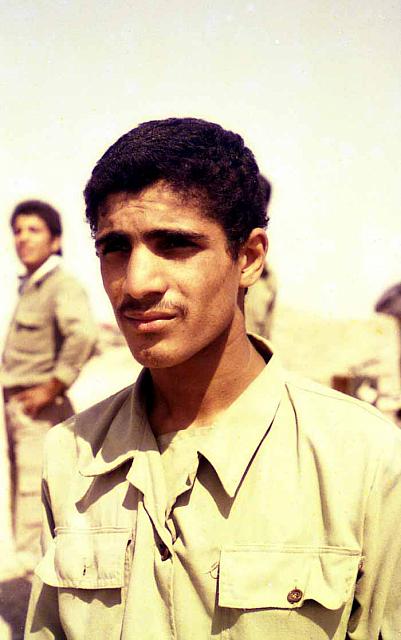 shafighefakeh.ir Parvaz (456)