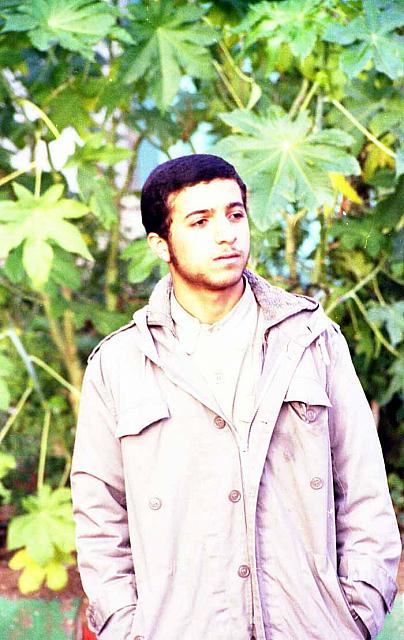 shafighefakeh.ir Site (175)