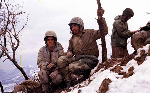 shafighefakeh.ir Site (197)