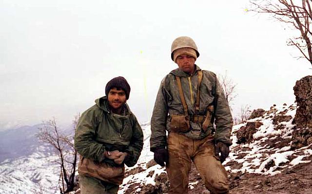 shafighefakeh.ir Site (199)