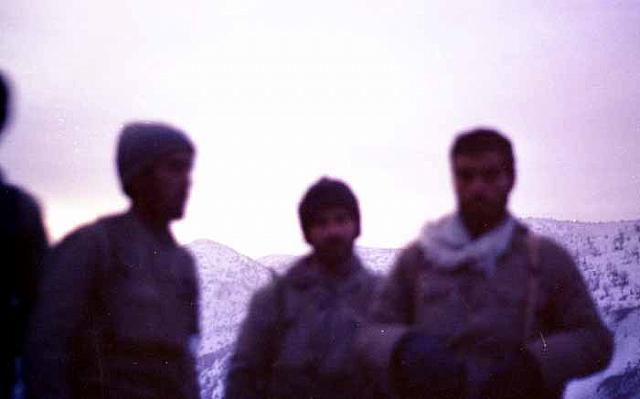 shafighefakeh.ir Site (207)