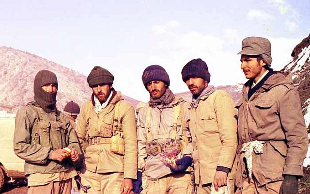 shafighefakeh.ir Site (223)